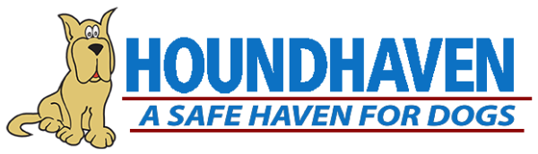 Donation