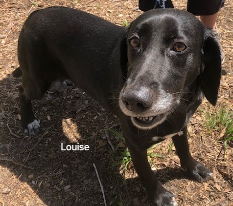 Louise 2 (1)