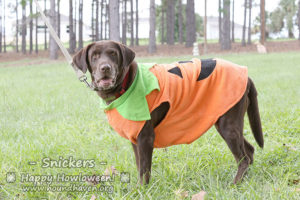 Snickers-4