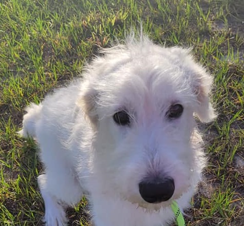 Maggie Mae 3