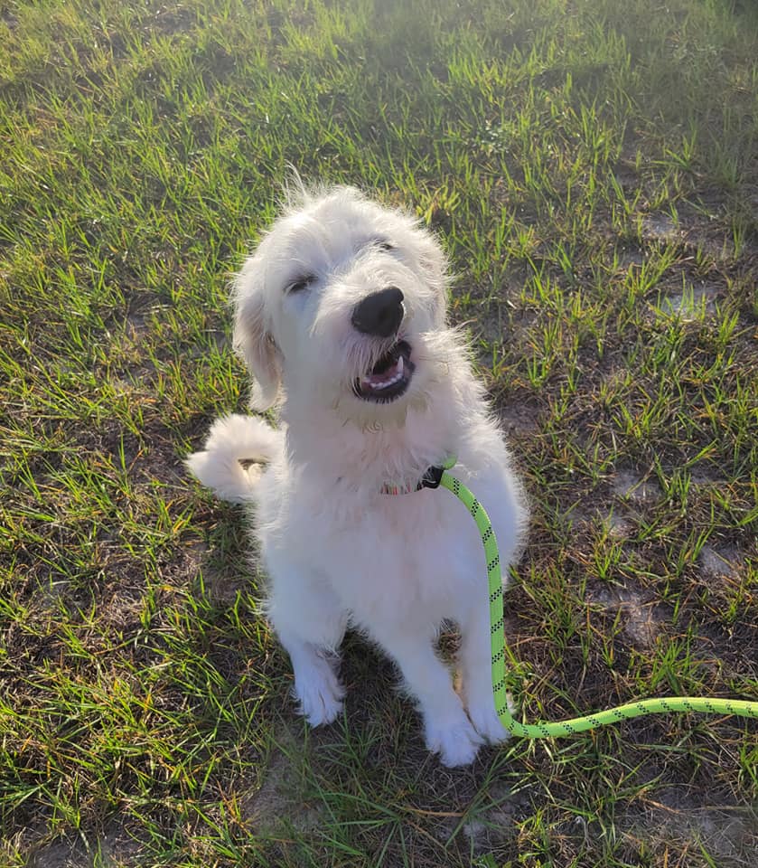 Maggie Mae 5