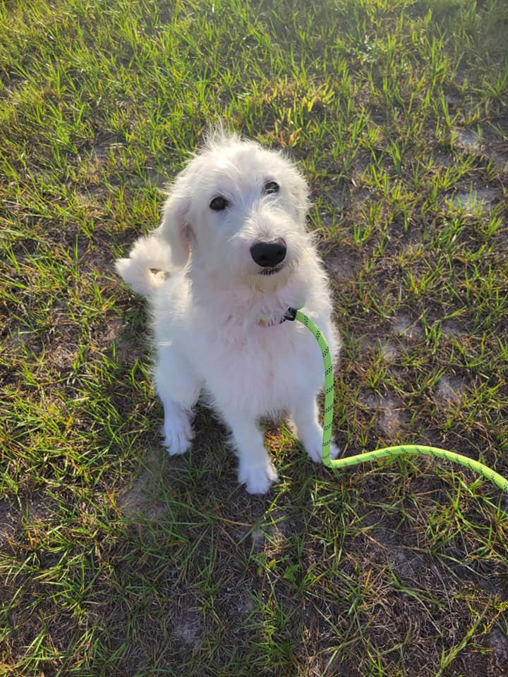 Maggie Mae 6