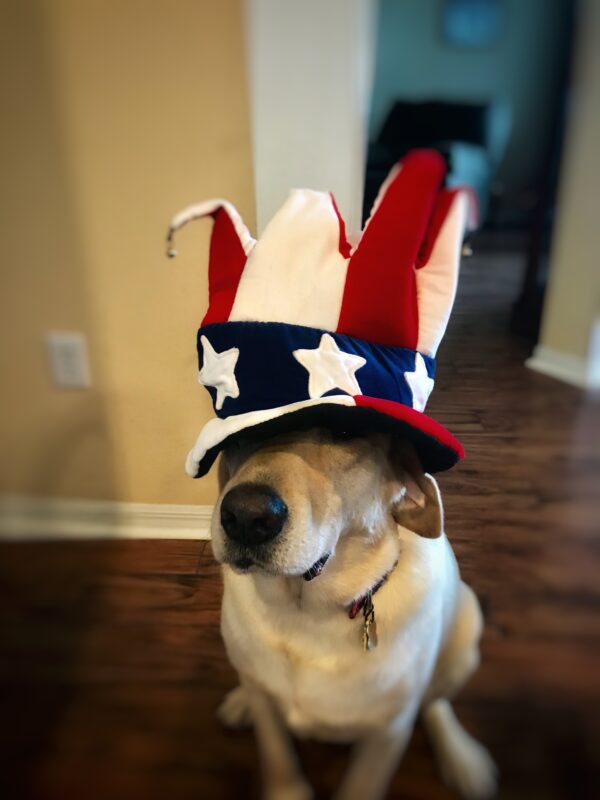 Contest - Stetson Sutherland