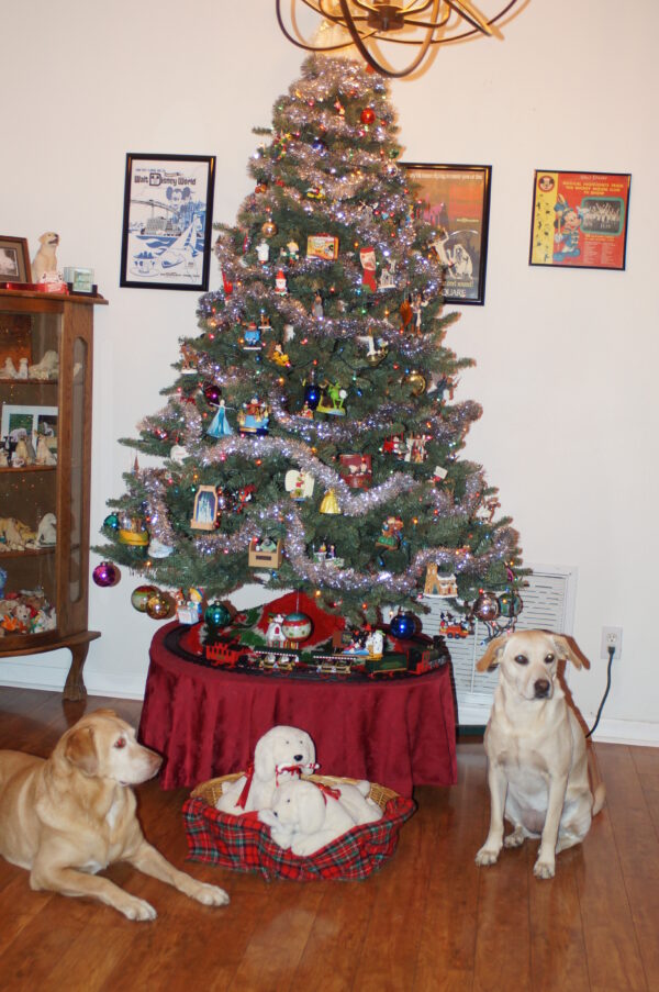 Contest - Griffey & Carley Bastianelli