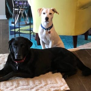 Contest - Zoey & Findley Haberkorn