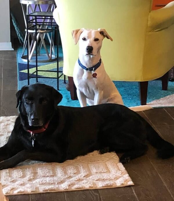 Contest - Zoey & Findley Haberkorn