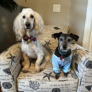 Contest - Buddy & Lucy Sedlacik