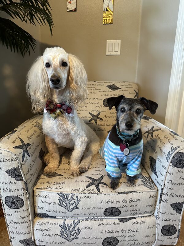 Contest - Buddy & Lucy Sedlacik