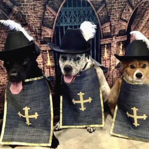 Contest - Linus, Onyx & Yuki Schwassman 3