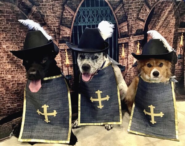 Contest - Linus, Onyx & Yuki Schwassman 3