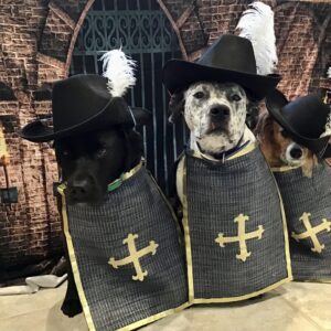 Contest - Linus, Onyx & Yuki Schwassman 2