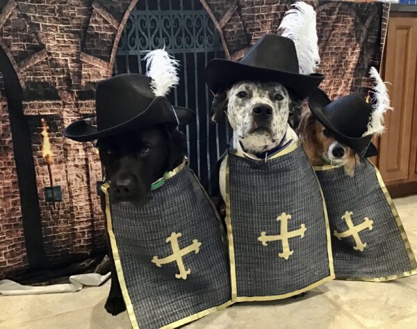 Contest - Linus, Onyx & Yuki Schwassman 2