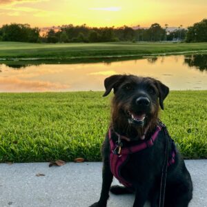 Contest - Peggy Phillips