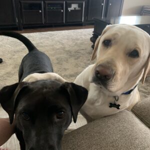 Contest - Tina & Charley Seamon