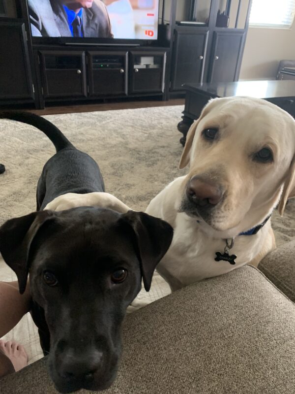 Contest - Tina & Charley Seamon