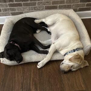 Contest - Tina & Charley Seamon 2
