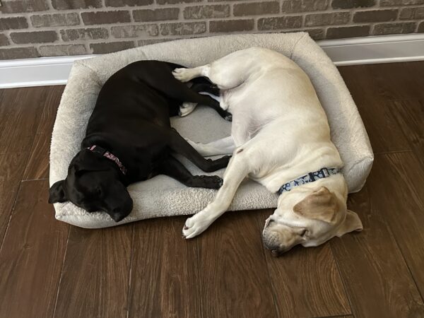 Contest - Tina & Charley Seamon 2