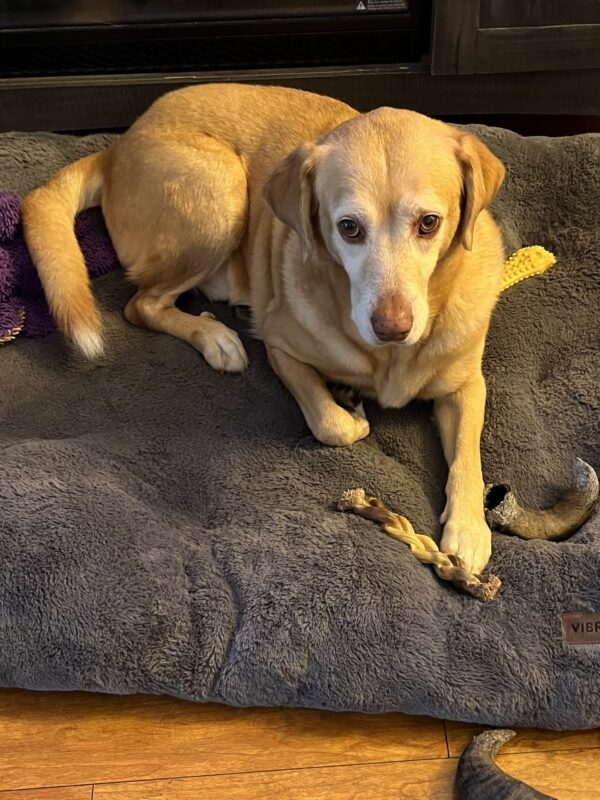 Contest - Griffey Bastianelli