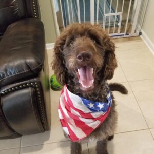 Contest - Milo LaBerge