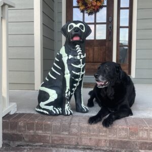 Contest - Sasha Baker