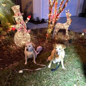 Contest - Carley & Griffey Bastianelli