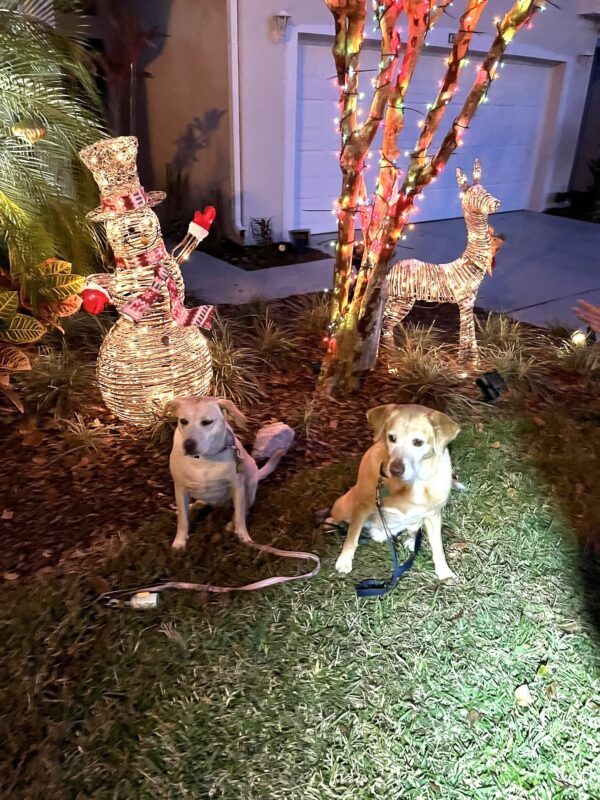 Contest - Carley & Griffey Bastianelli