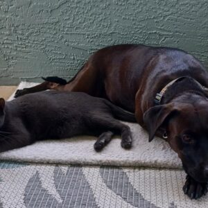 Contest - Brody Jensen and friend