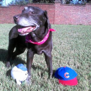 Contest - Buddy-Dowd