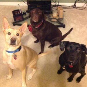 Contest - Elijah, Tootsie and Kaley Newcomb