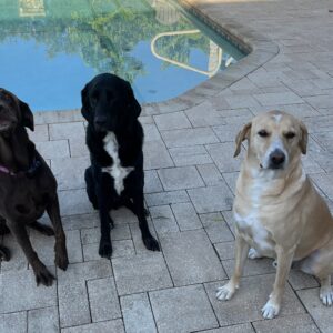 Contest - Miley, Banjo & Spencer Schaefer-Trimble