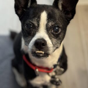 Contest - Miss Rita