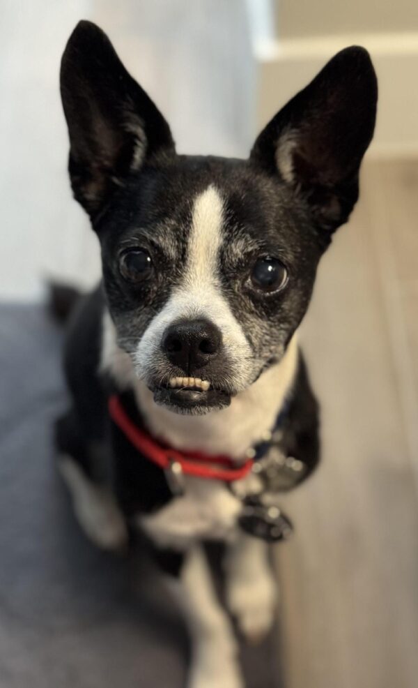 Contest - Miss Rita
