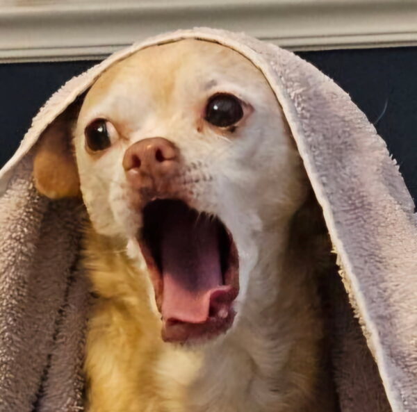 Contest - Ruby Egler-Morelli