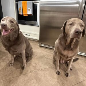 Contest - Willow & Winnie