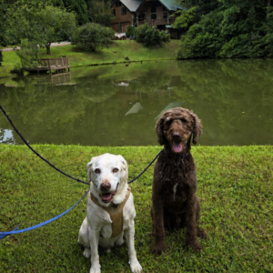 Contest - Aiden and Milo - LaBerge