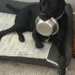 Contest - Brawn Baker-Laurence is SO Hungry