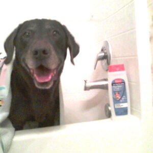 Contest - Buddy Dowd