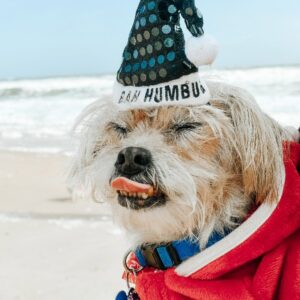 Contest - Bah Humbug Cam Coletta