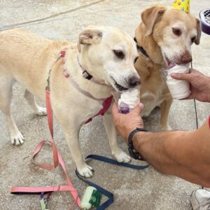 Contest - Carley & Griffey-Bastianelli