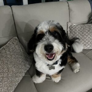 Contest - Charlie-Landers
