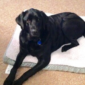Contest - Cooper Conrad