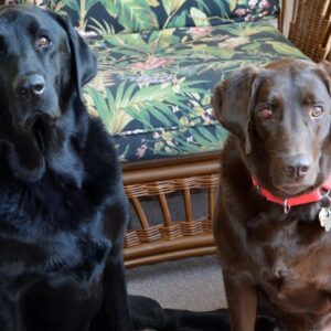 Contest - Cooper & Jack Conrad