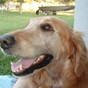 Contest - Daisy Stewart
