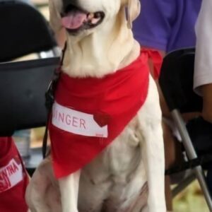 Contest - Ginger Beckett