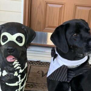 Contest - Happy Halloween Brawn Baker-Laurence