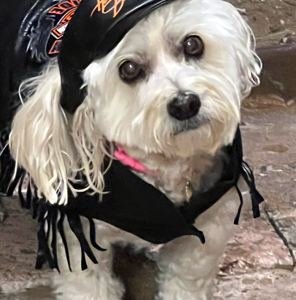 Contest - Lucy - Schwarz