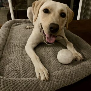 Contest - Lucy Thinel with Ball