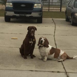 Contest - Oliver & Blue Conley
