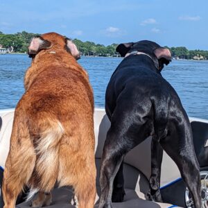 Contest - PJ & Penny-Nelson