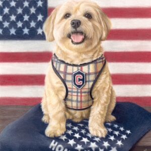Contest - Patriotic Cesar Coletta